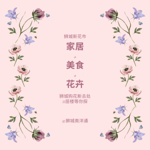 🇸🇬狮城11层花卉天堂探店记🌺