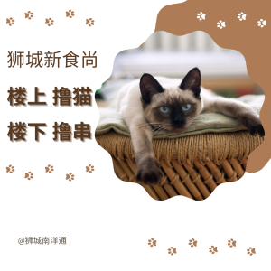 😻串串+猫咖！新加坡双层乐无穷